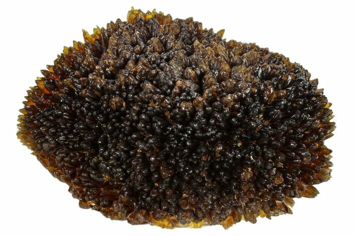 Radiating, Honey-Amber Calcite Crystal Cluster - China #115489